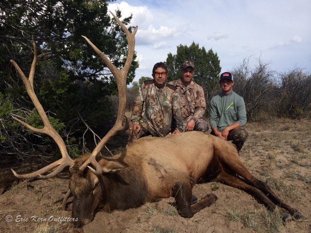 David's 2014 Bull