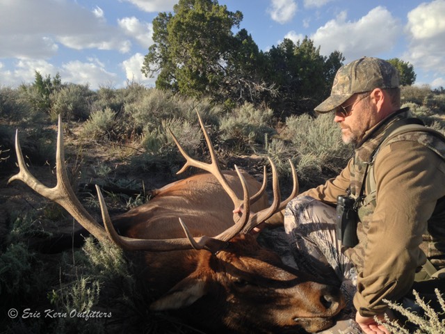 John's 2014 Bull